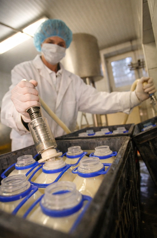 Abfüllung der Milch in 2-Liter Mehrwegflaschen